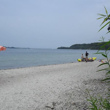 فندق Gasevig Strand Camping هادرسليف المظهر الخارجي الصورة